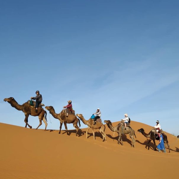 cover photo of the 3 days desert tour from Marrakech to Merzouga