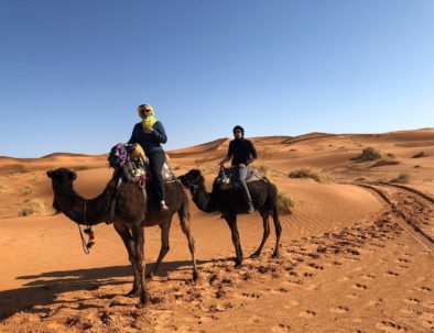 Camel trekking in the moroccan desert with our tours
