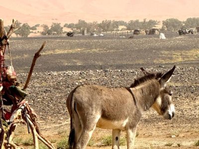 WhatsApp Image 2025-12-14 at 14.44.17 (4)